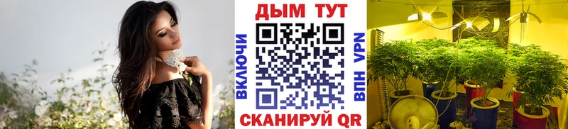Купить наркотик аптеки Никольск Бошки Шишки Кокаин Псилоцибиновые грибы Мефедрон Альфа ПВП