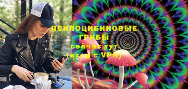 соль ск Лиски
