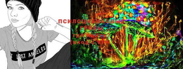 соль ск Лиски